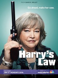 Закон Хэрри / Harry's Law (1,2 сезон)